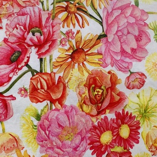 Cotton Fabric 2